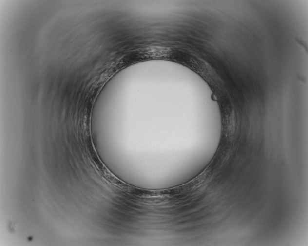 X0000102840553200808181027
