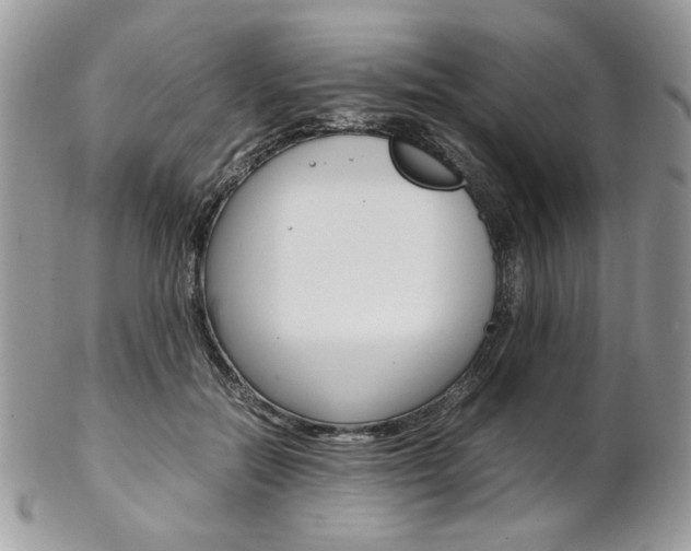 X0000102840554200808181027