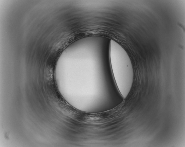 X0000102840555200808181027