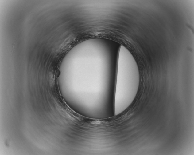 X0000102840558200808181027