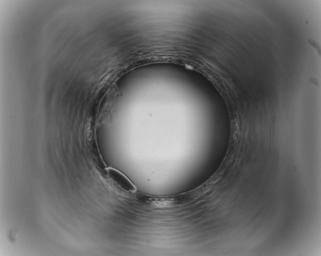 X0000102840560200808181027