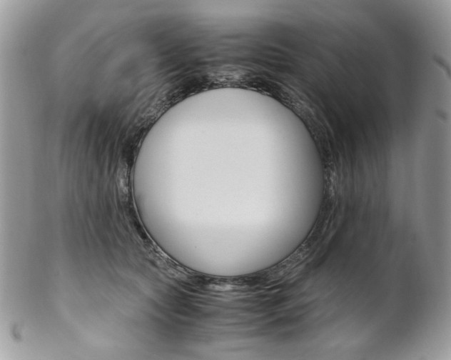 X0000102840561200808181027