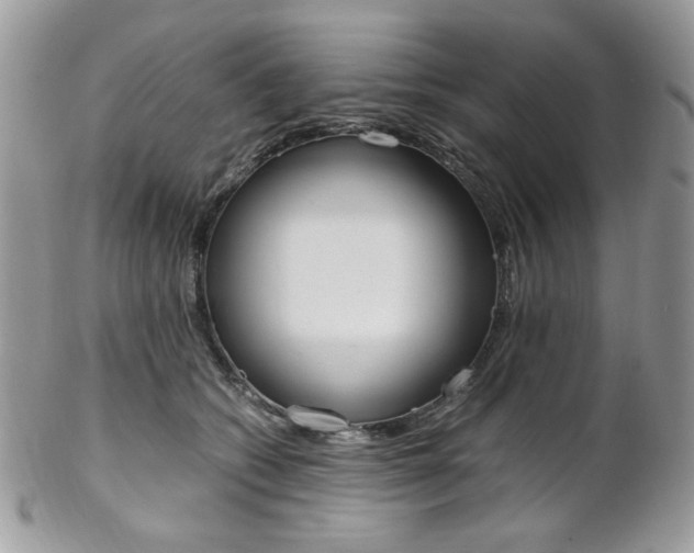 X0000102840562200808181027
