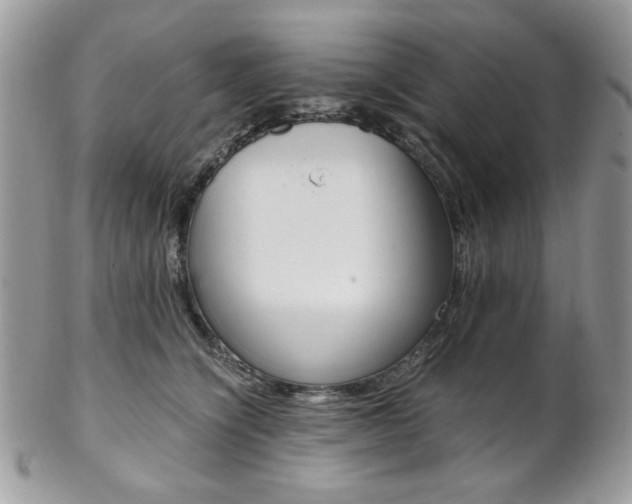 X0000102840564200808181027
