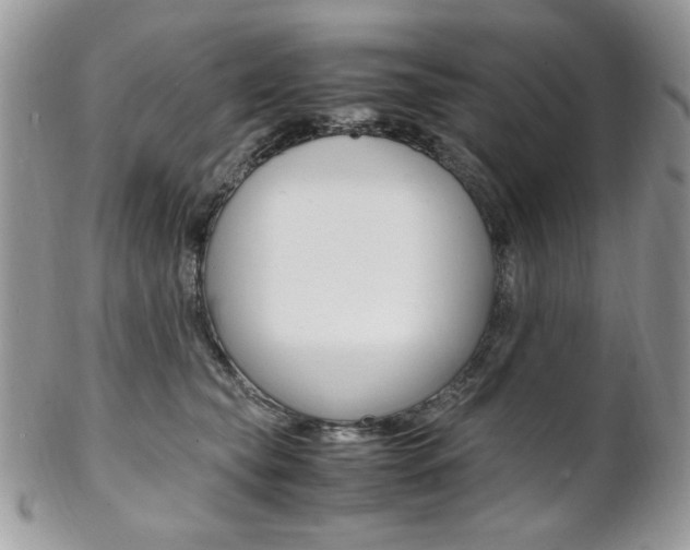 X0000102840565200808181027