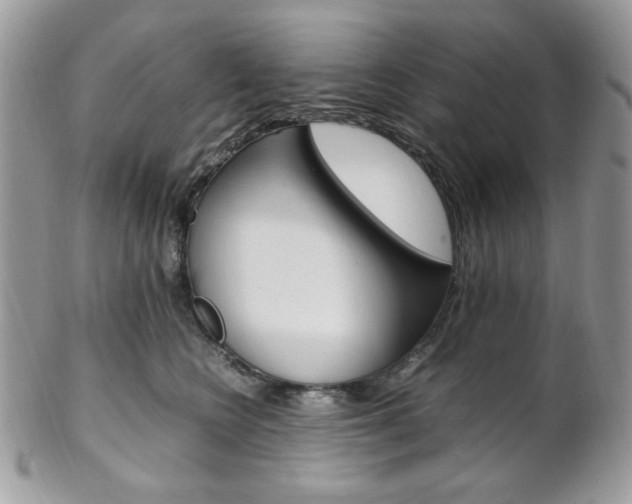 X0000102840566200808181027
