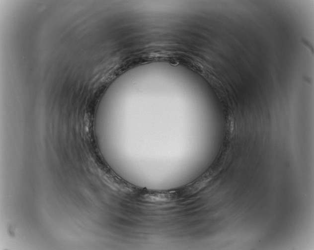 X0000102840567200808181027