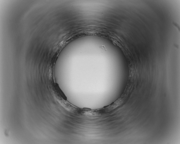 X0000102840568200808181027