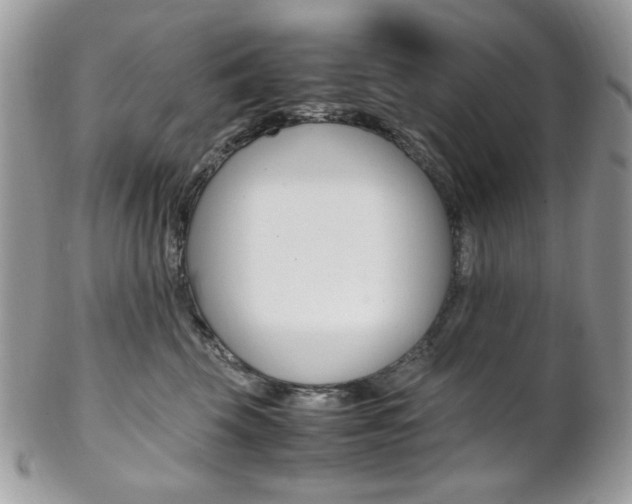 X0000102840569200808181027