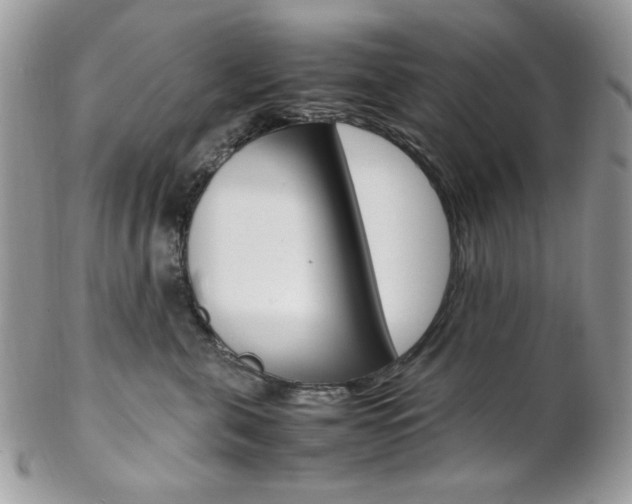 X0000102840571200808181027