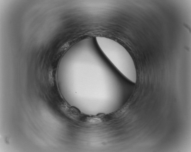 X0000102840572200808181027