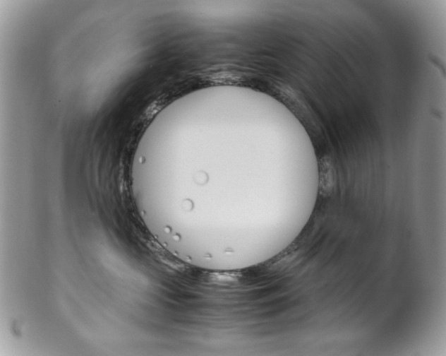 X0000102840573200808181027
