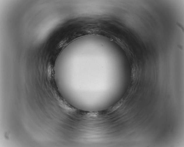 X0000102840574200808181027
