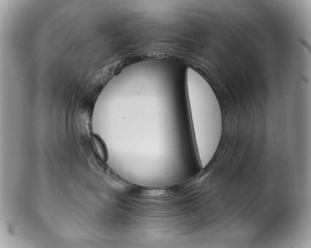 X0000102840575200808181027