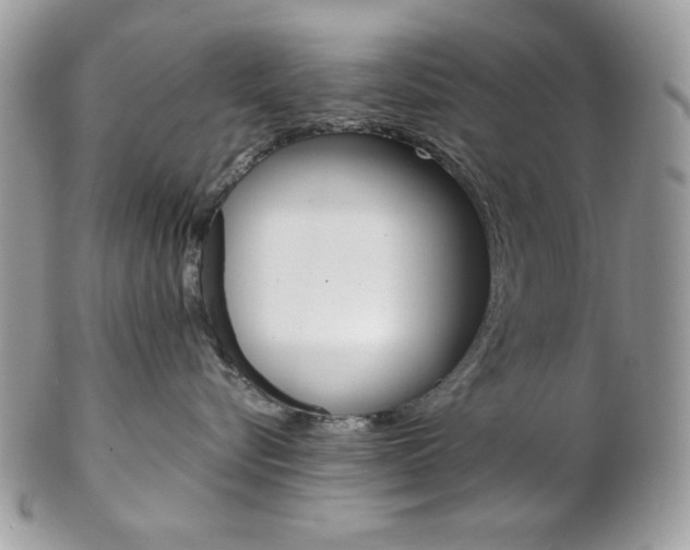 X0000102840576200808181027