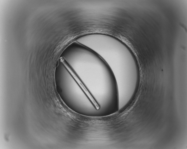 X0000102840577200808181027