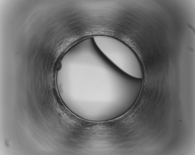 X0000102840578200808181027