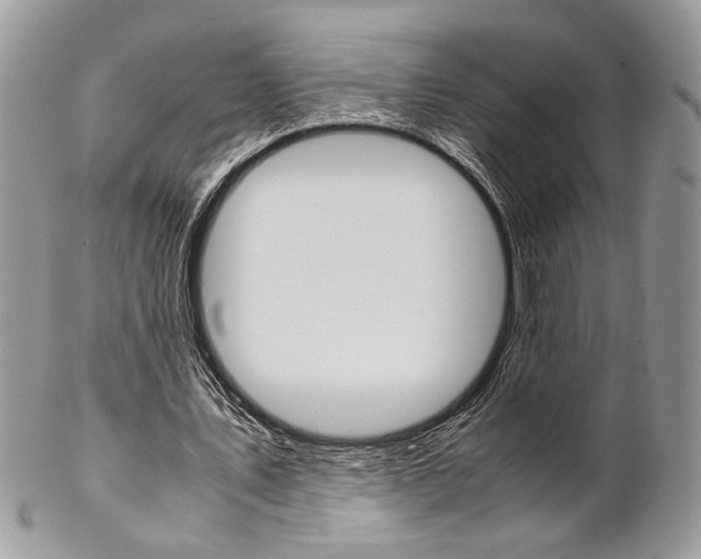 X0000102840579200808181027