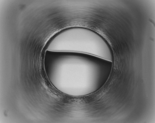 X0000102840580200808181027