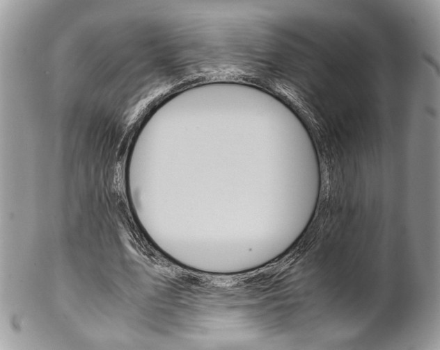 X0000102840583200808181027
