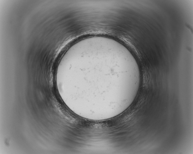 X0000102840584200808181026