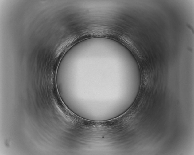 X0000102840586200808181026