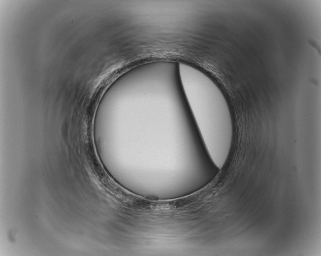 X0000102840587200808181026