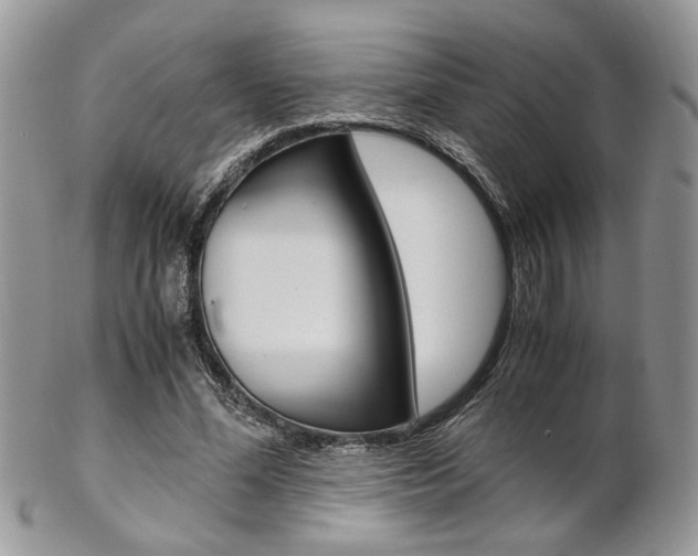 X0000102840588200808181026
