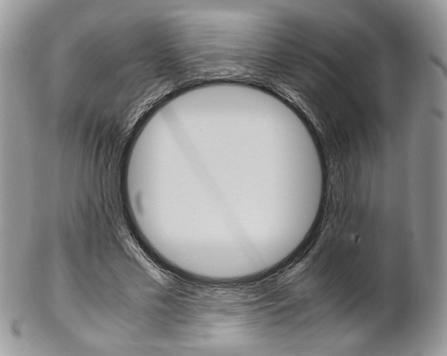X0000102840589200808181026
