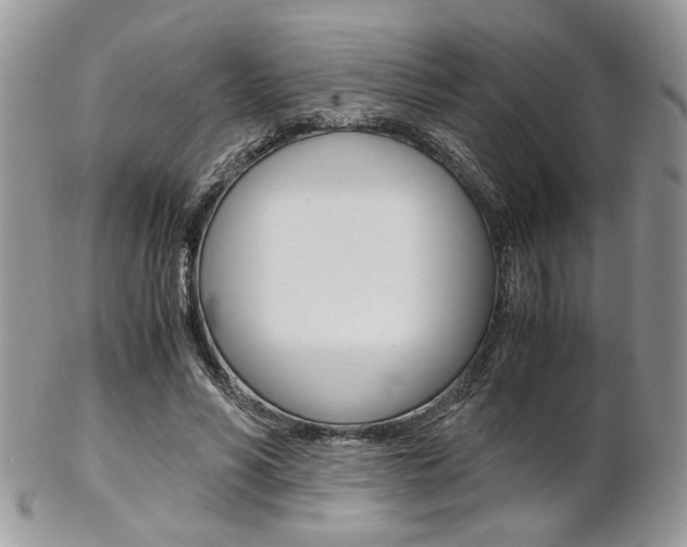 X0000102840590200808181026