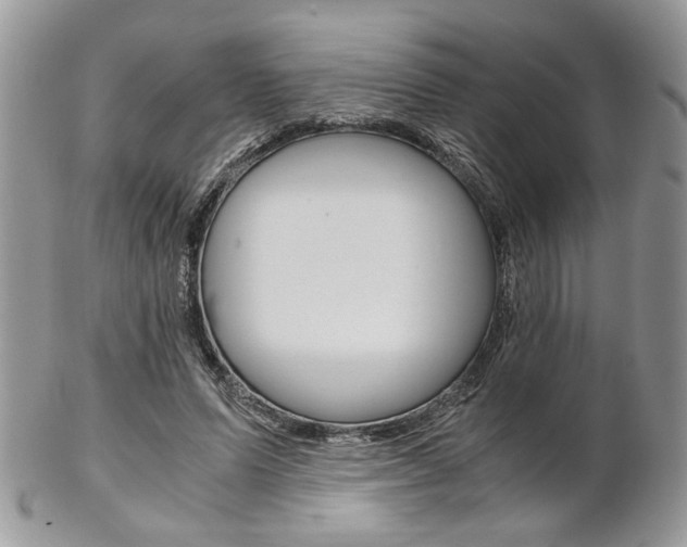 X0000102840591200808181026