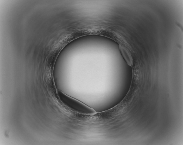 X0000102840593200808181026