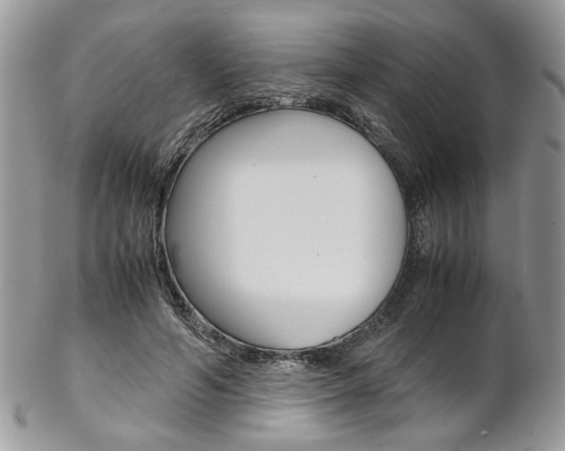 X0000102840594200808181026