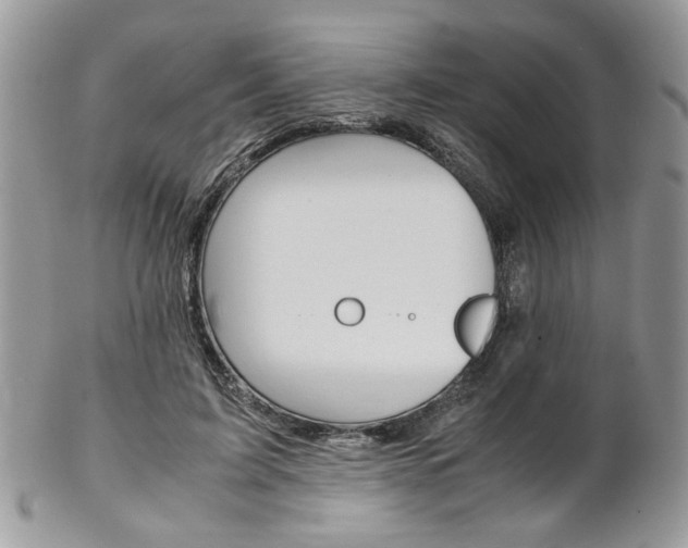 X0000102840595200808181026