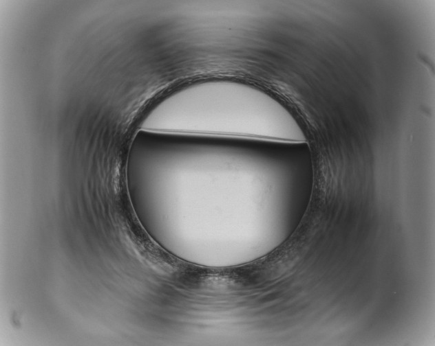 X0000102840596200808181026