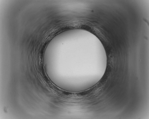 X0000102840597200808181026