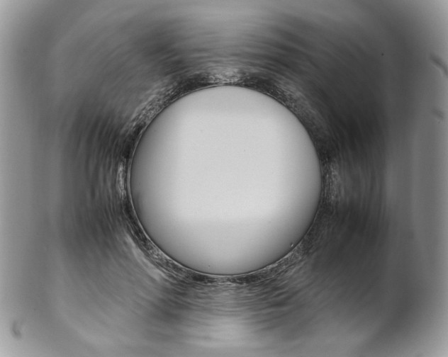X0000102840598200808181026