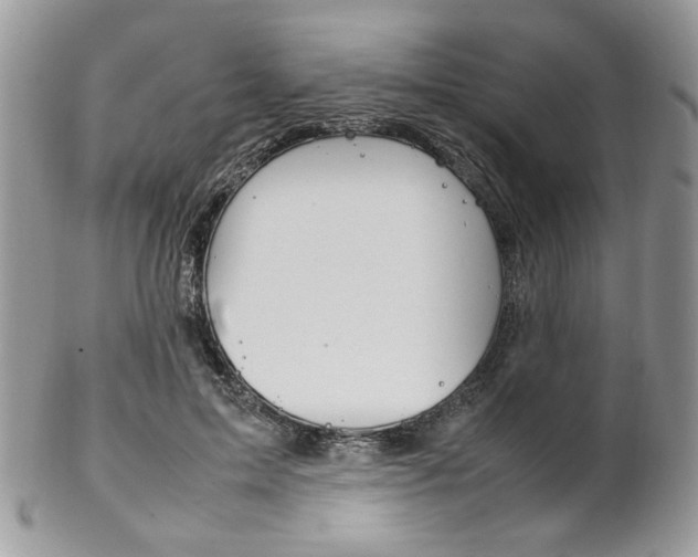 X0000102840599200808181026