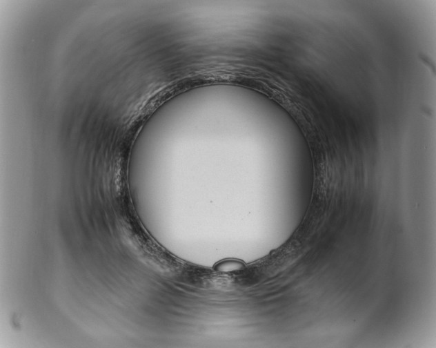 X0000102840600200808181026