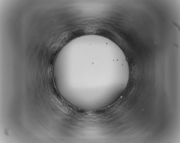 X0000102840601200808181026