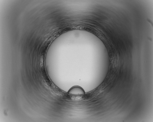 X0000102840602200808181026