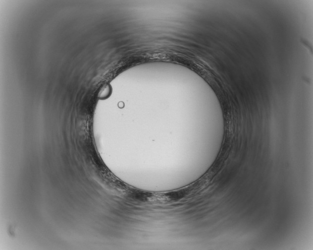 X0000102840603200808181026