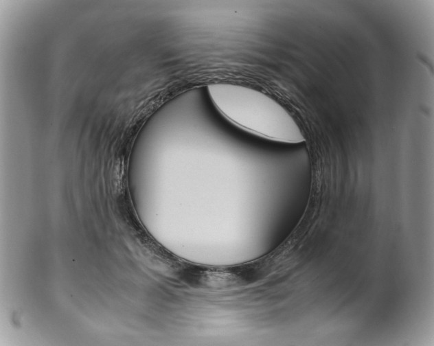 X0000102840605200808181026