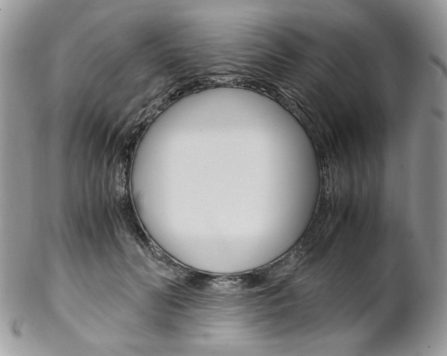 X0000102840606200808181026