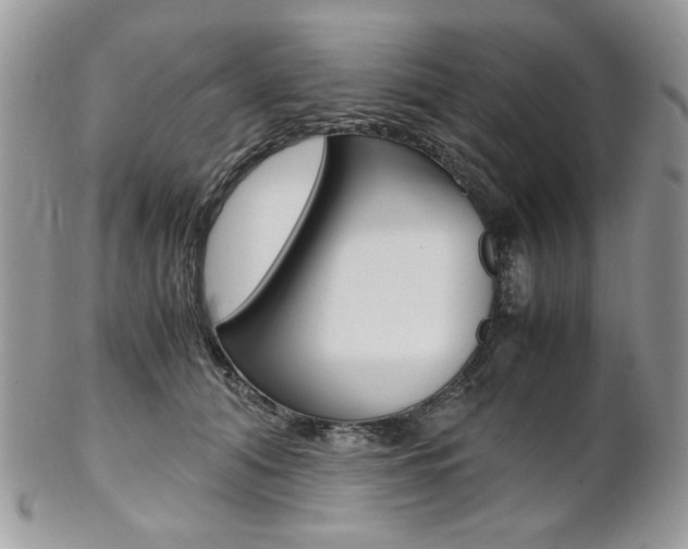 X0000102840608200808181026