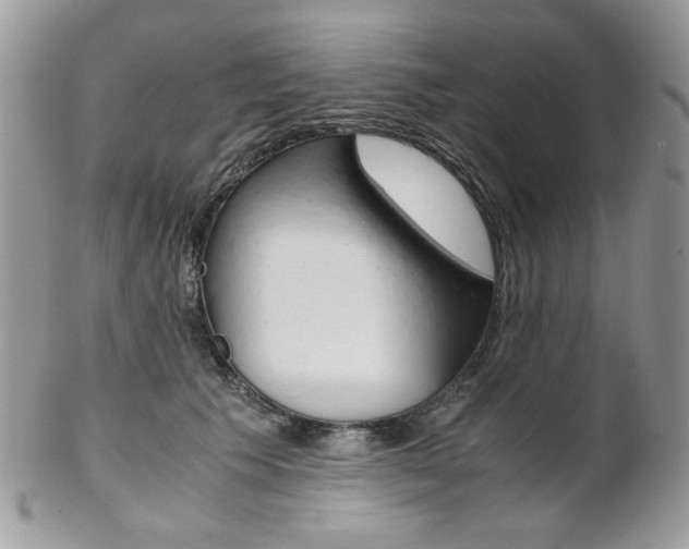 X0000102840609200808181026