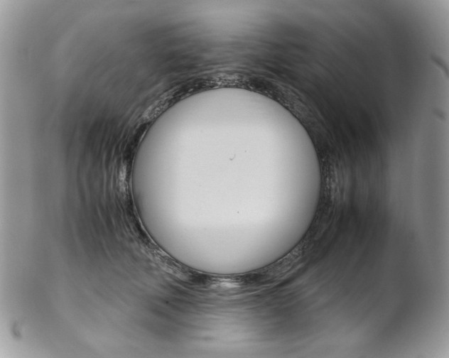 X0000102840610200808181026