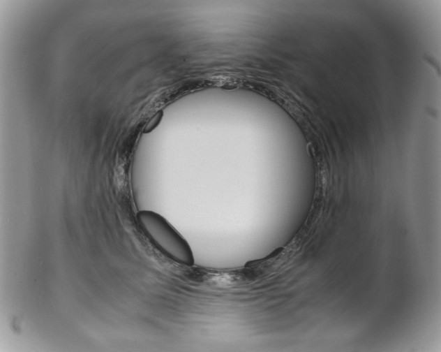 X0000102840611200808181026