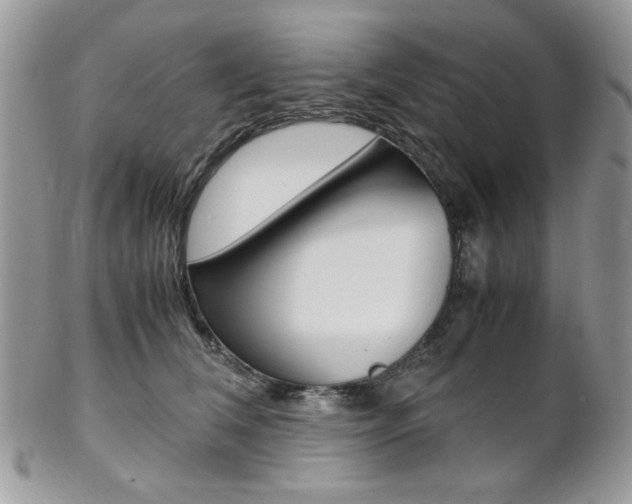 X0000102840612200808181026