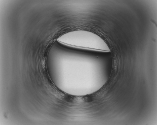 X0000102840613200808181026
